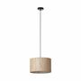 Pendant light 1-light Plant leaf 1