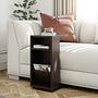 Filinta Side Table Wood Veneer Anthracite 1