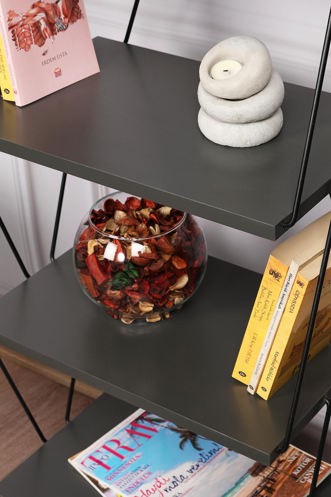 Balaban Bücherregal Holzfurnier Anthrazit 4