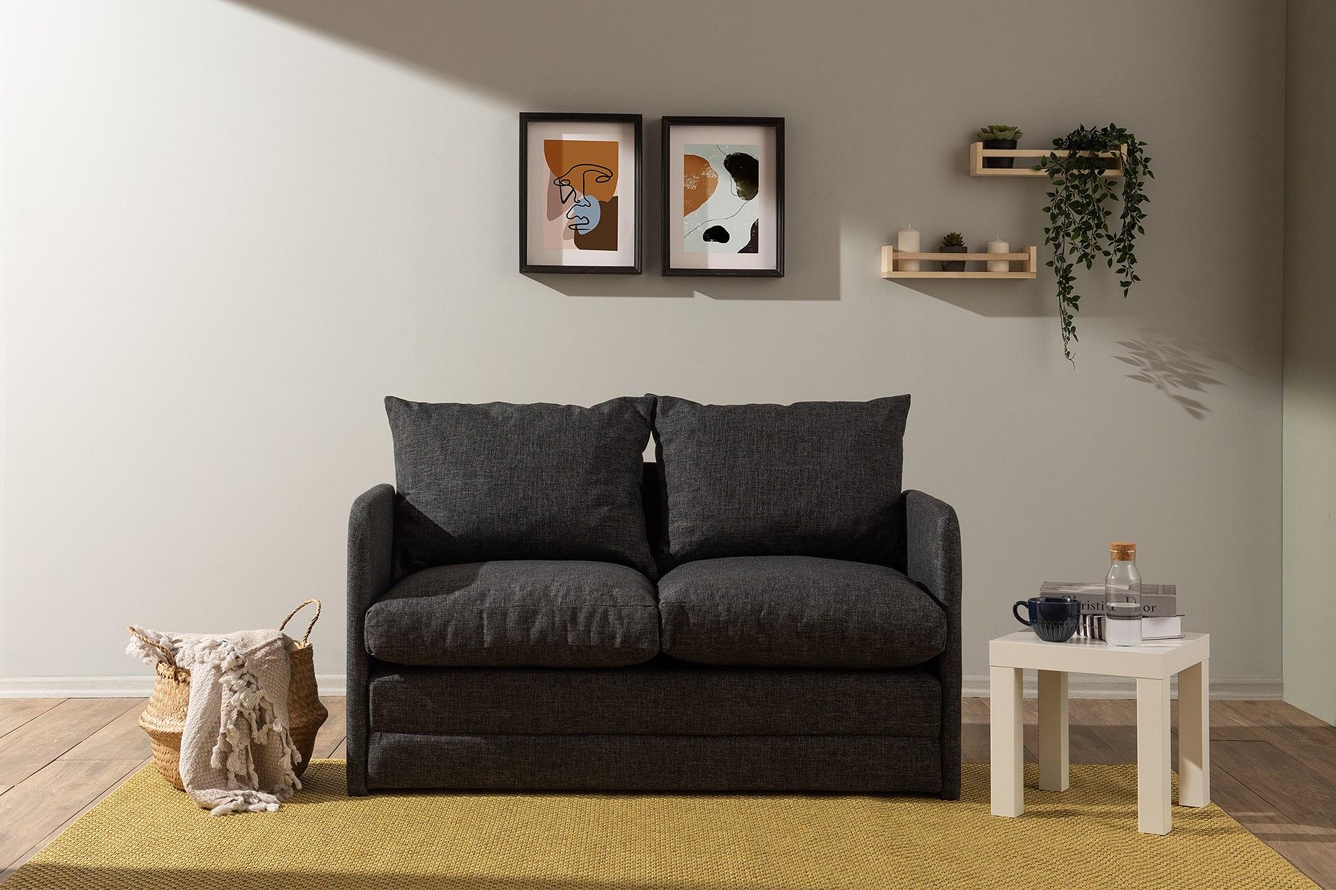 Saga Sofa Bed 2-seater Dark Grey 0