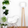 Design Award: Pine Wood Planter Black 2