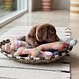 Ashi Dog Toy Large Textile Blue 3