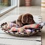 Ashi Dog Toy Polyester Recycled Multicolored 2