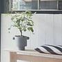 Inka Kana Flower Pot Anthracite 3