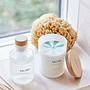 Mori diffuser glass wood transparent 3