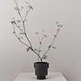 Inka Kana Pot Small Ceramic Anthracite 2