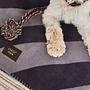 Kaya Dog Blanket Large Polyester Gray 2