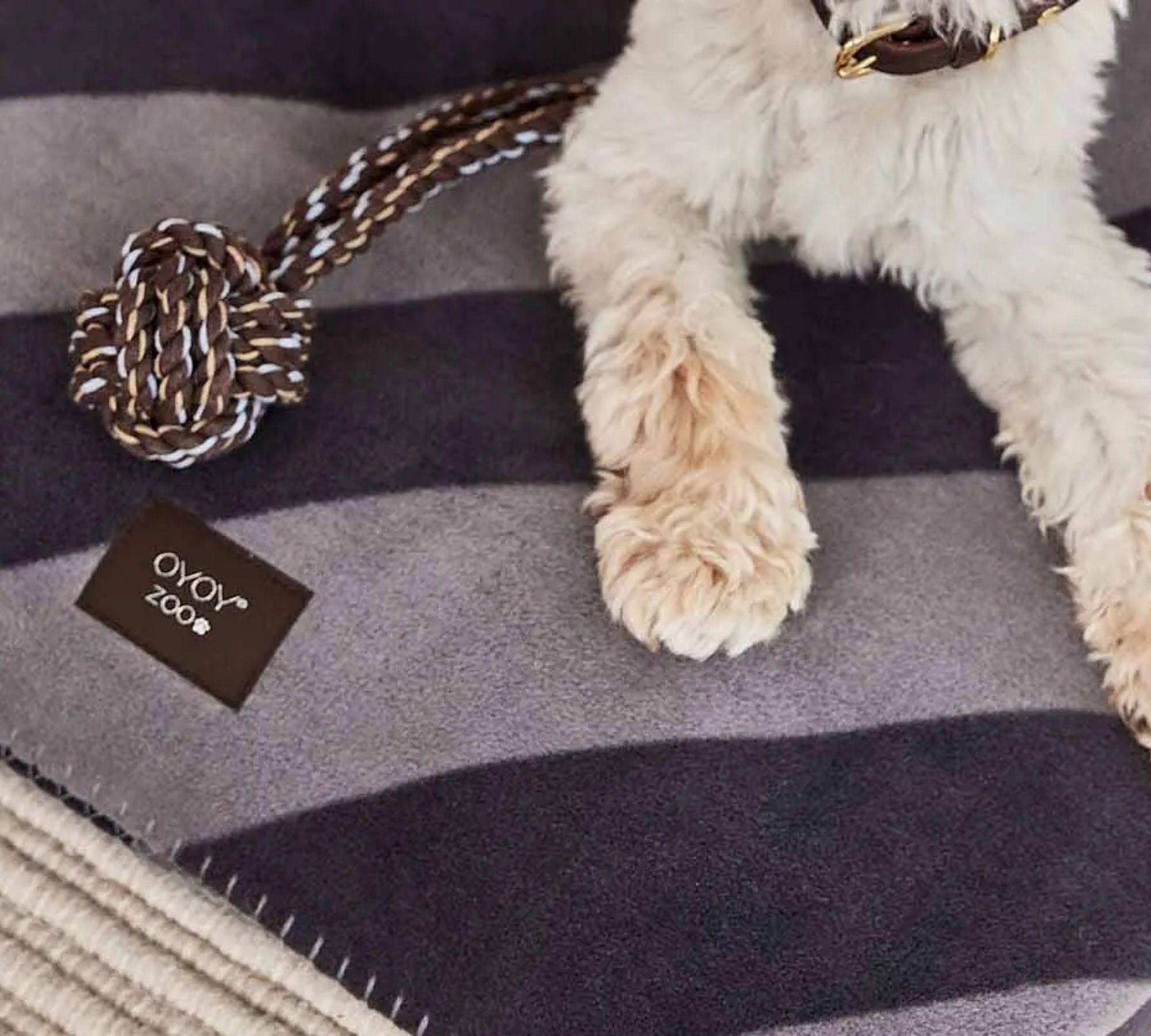 Kaya Dog Blanket Large Polyester Gray 2