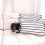 Lands & Pits Cushion Cover Cotton Natural 2