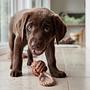 Otto Dog Toy Cotton Brown 2
