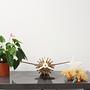 Antoine Baladeuse Desk lamp Airplane Wood 7