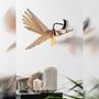 Albatros Wandlampe Holz 6