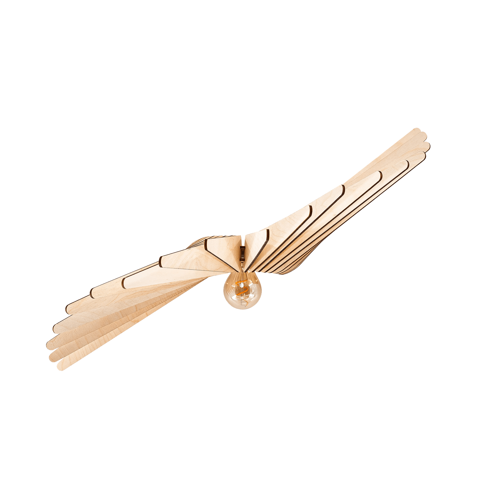 Albatros Lampada da parete in legno 7