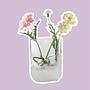 Mid-Century Flower vase Glass 1970s 0
