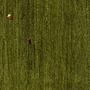Gabbeh Rug Green 6
