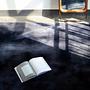 Wall Midnight Carpet Large 300 x 240 cm New Zealand wool 0