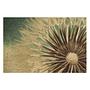 Picture Dandelion Birch Wood Panel Multicolored 0