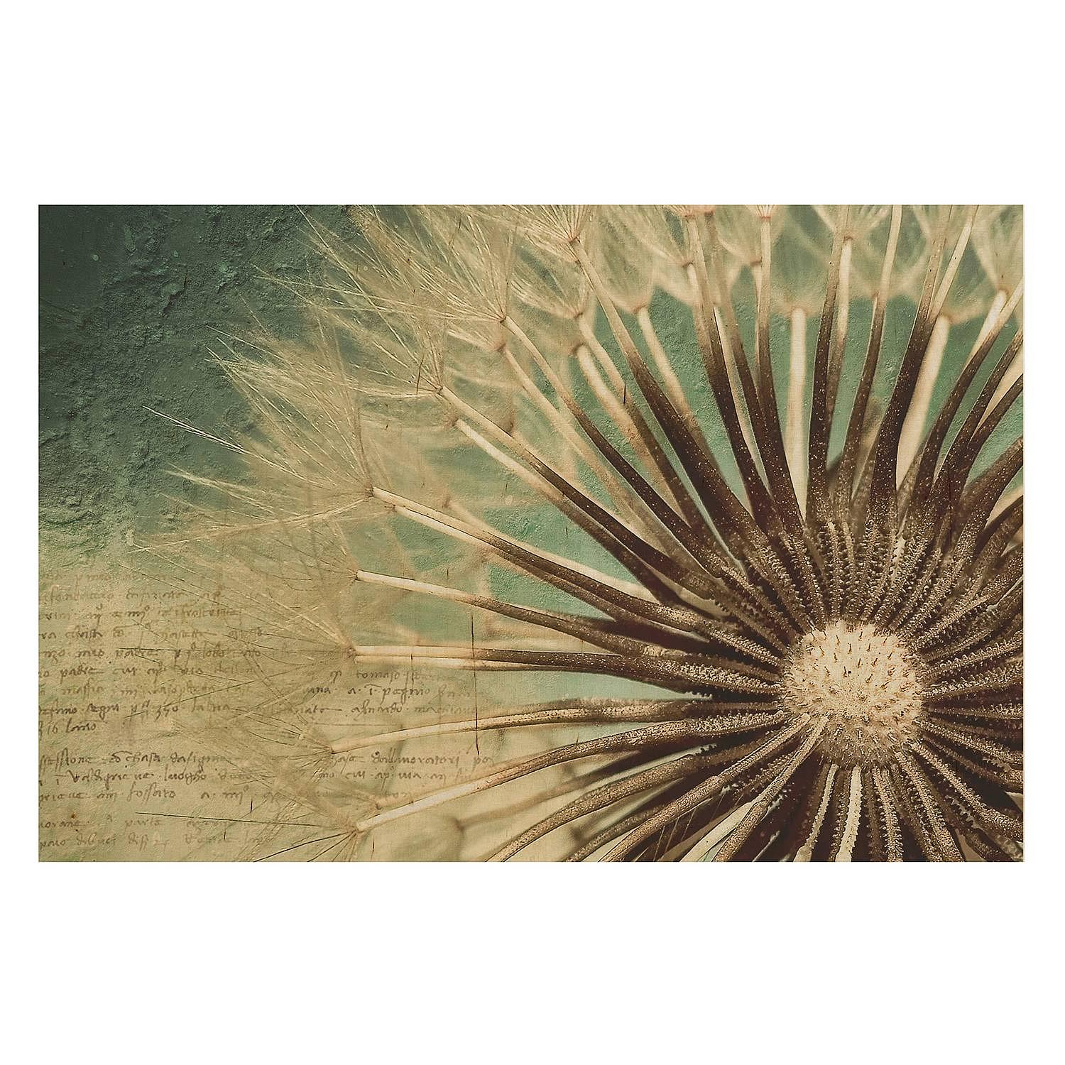 Picture Dandelion Birch Wood Panel Multicolored 0