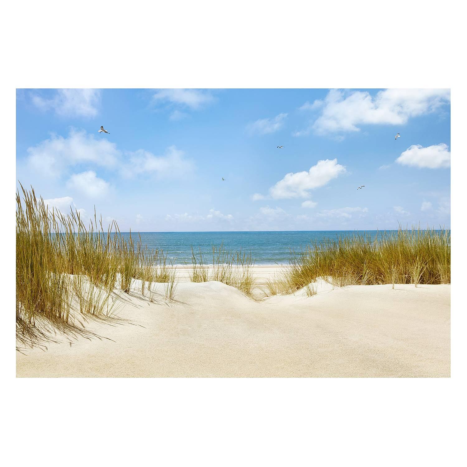 Non-woven wallpaper North Sea Beach Non-woven paper Multicolored 0