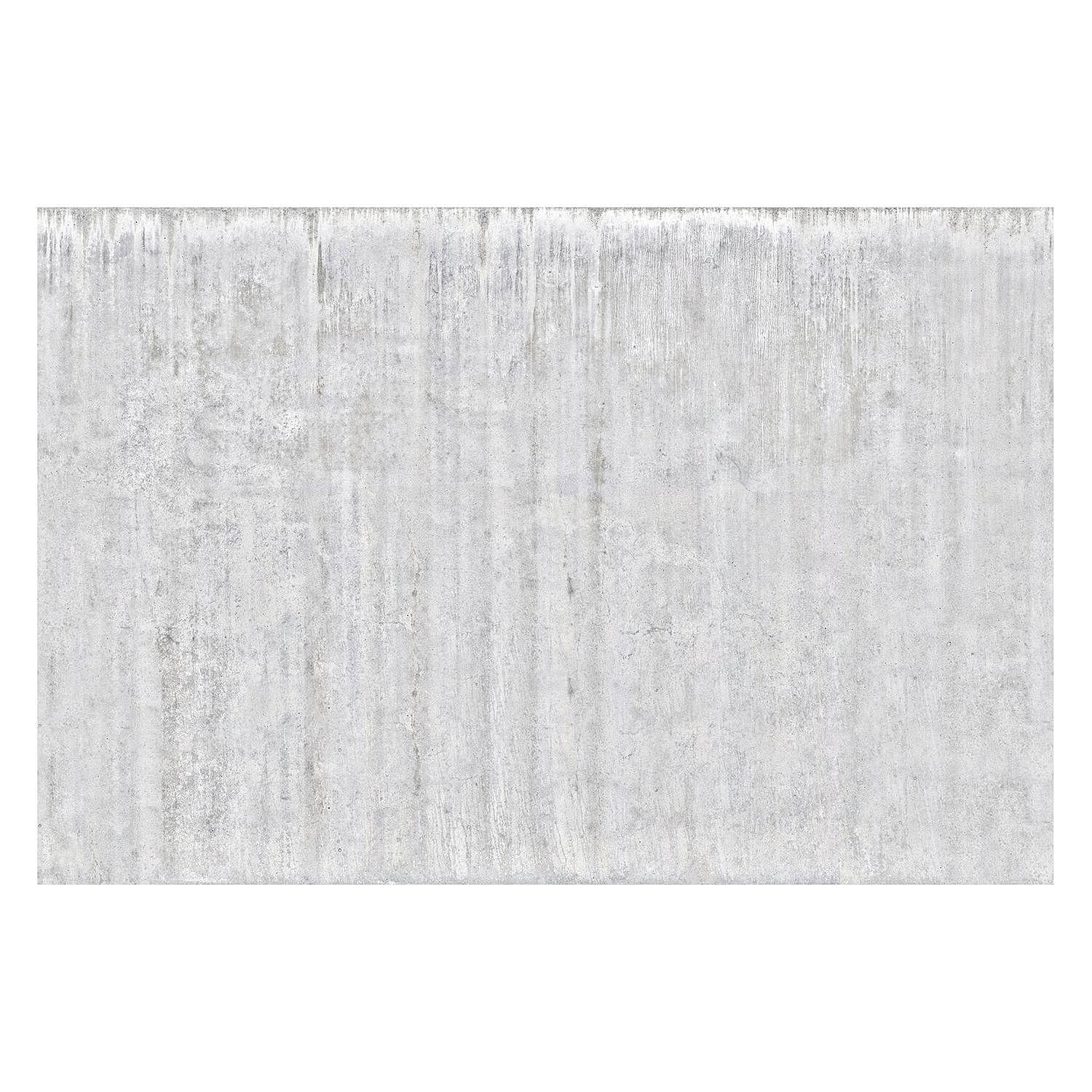 Non-woven wallpaper Loft concrete wall light gray 0