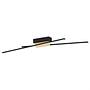 Panagria Ceiling Light Steel Polycarbonate 2-light 0