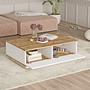 Fr14-Aw Coffee table Brown White 4