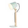Table lamp Swivel 1-lamp Mint 0