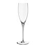 6x Sektglas Poesia (Kristallglas Durchscheinend 0