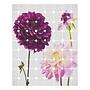 Fleece Photo Wallpaper Flowers & Dots Fleece Colorful 0
