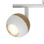 2-flame LED ceiling spotlight plastic wood white 1