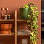 Nala 120 Shelf Brown 6