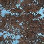 Vintage Teppich Wolle Mehrfarbig 4