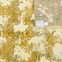 Vintage Carpet Wool Multicolored 3