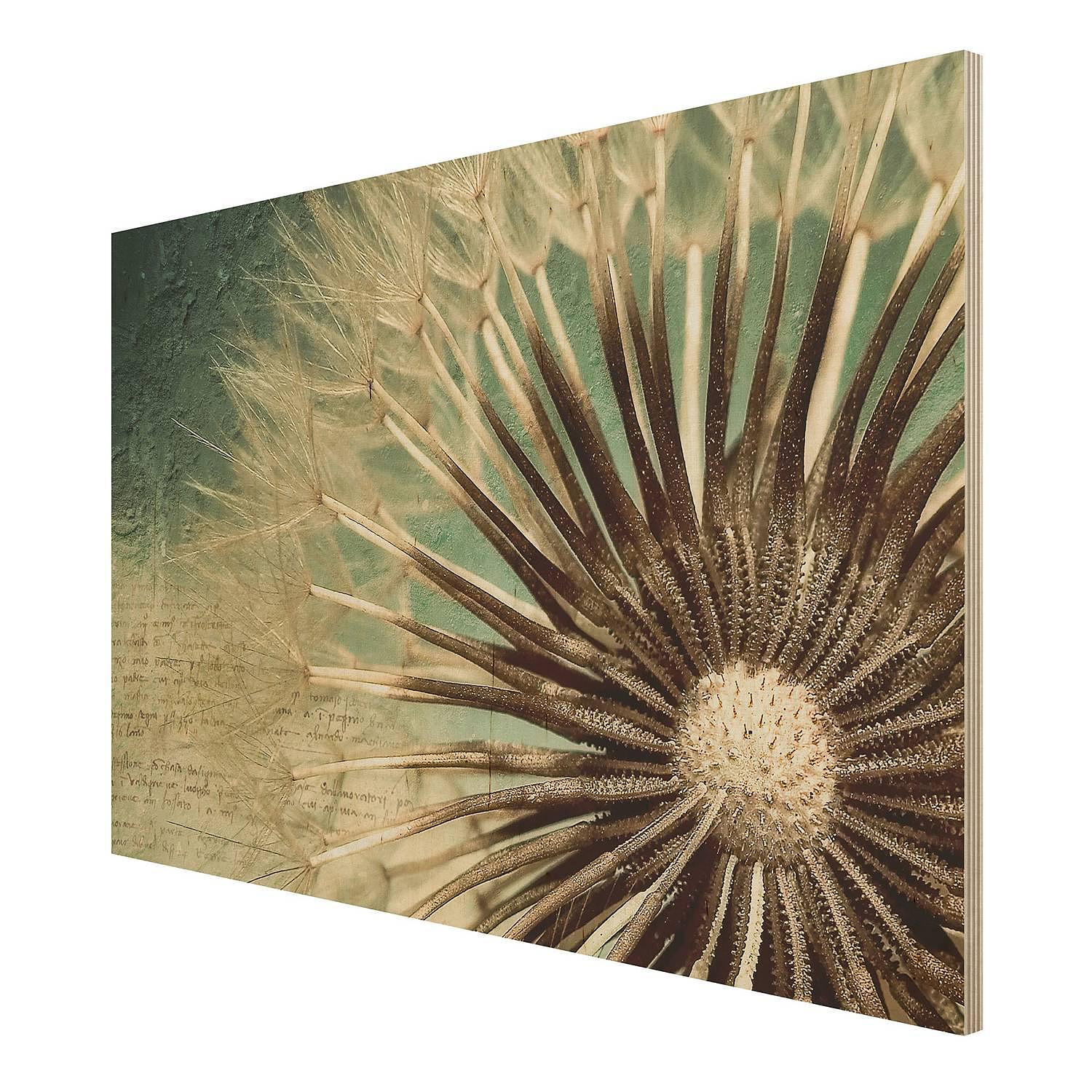 Picture Dandelion Birch Wood Panel Multicolored 2