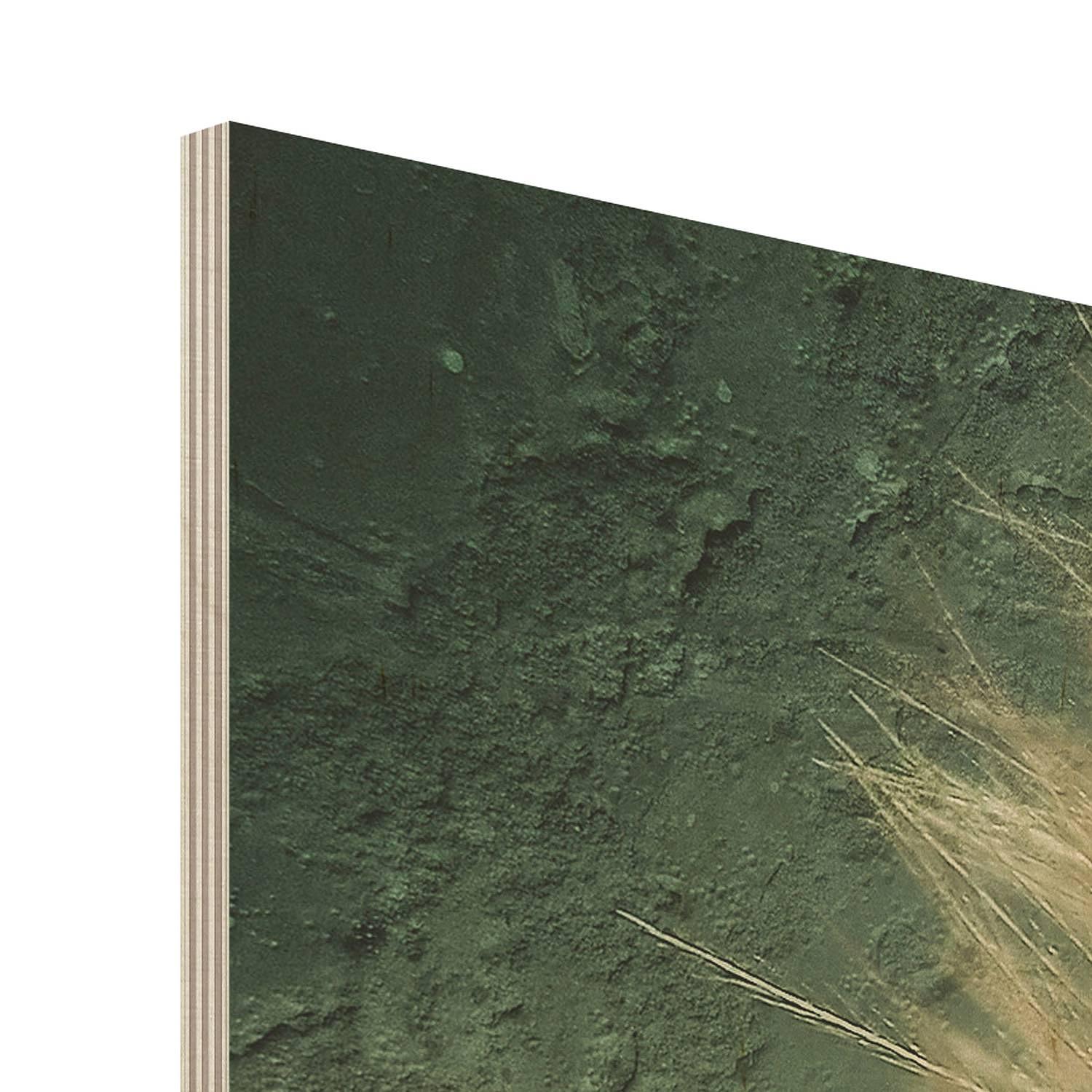 Picture Dandelion Birch Wood Panel Multicolored 3