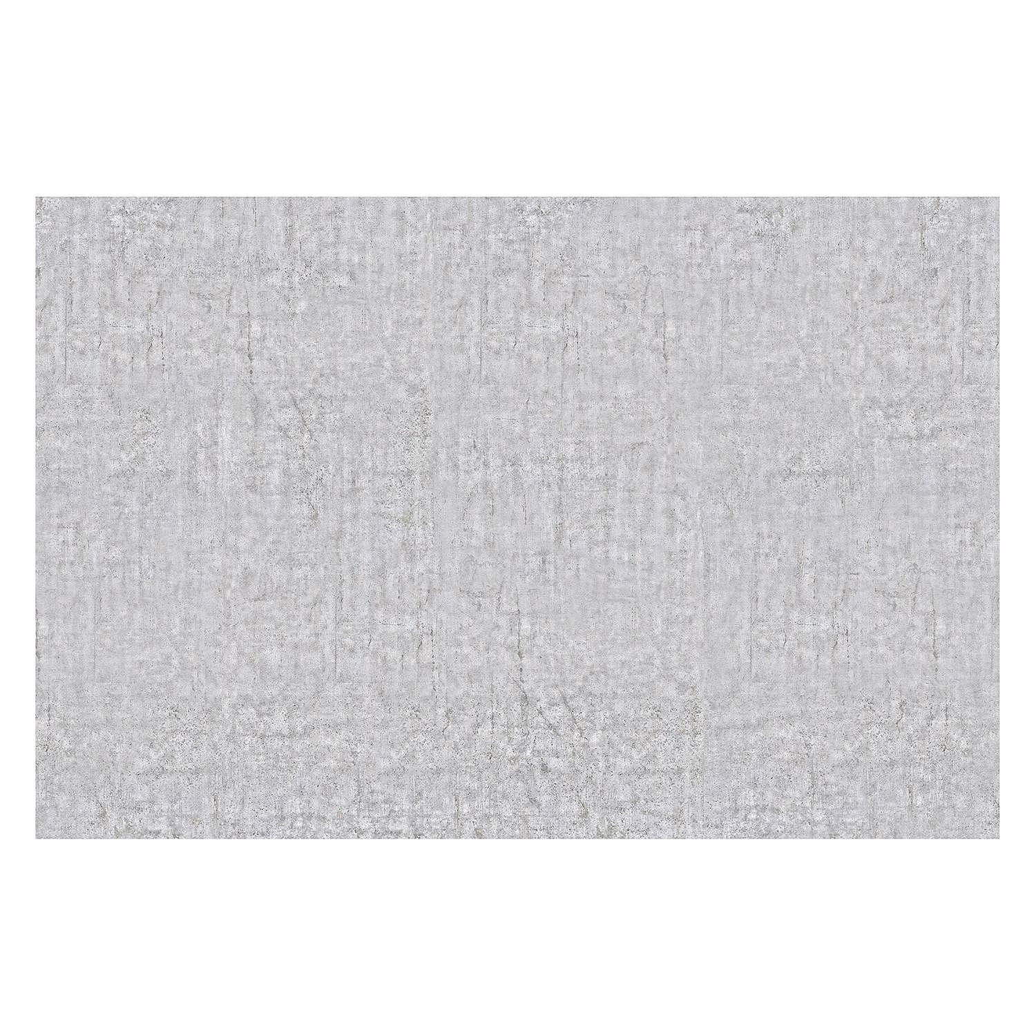 Vliestapete Beton Ciré Vliespapier Hellgrau 384 x 255 cm 1