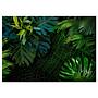 Non-woven wallpaper Darl Jungle Green Leaves Non-woven Green 1