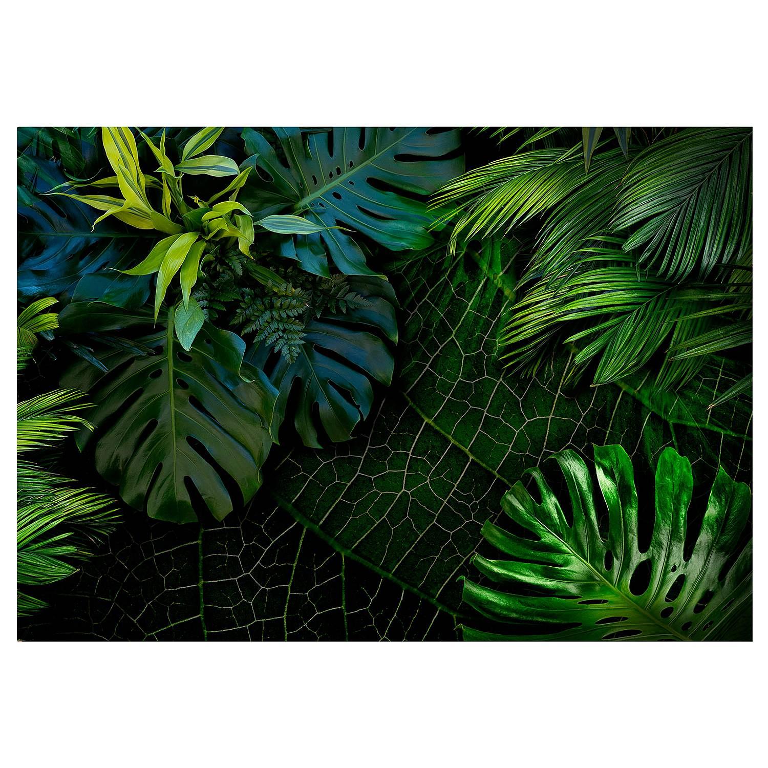 Non-woven wallpaper Darl Jungle Green Leaves Non-woven Green 1