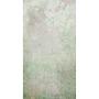 Non-woven photo wallpaper Pure Nature Concrete Green 1