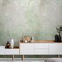 Non-woven photo wallpaper Pure Nature Concrete Green 2