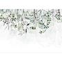 Vlies Fototapete Foggy Nature Vlies Grün 300 x 210 cm 1
