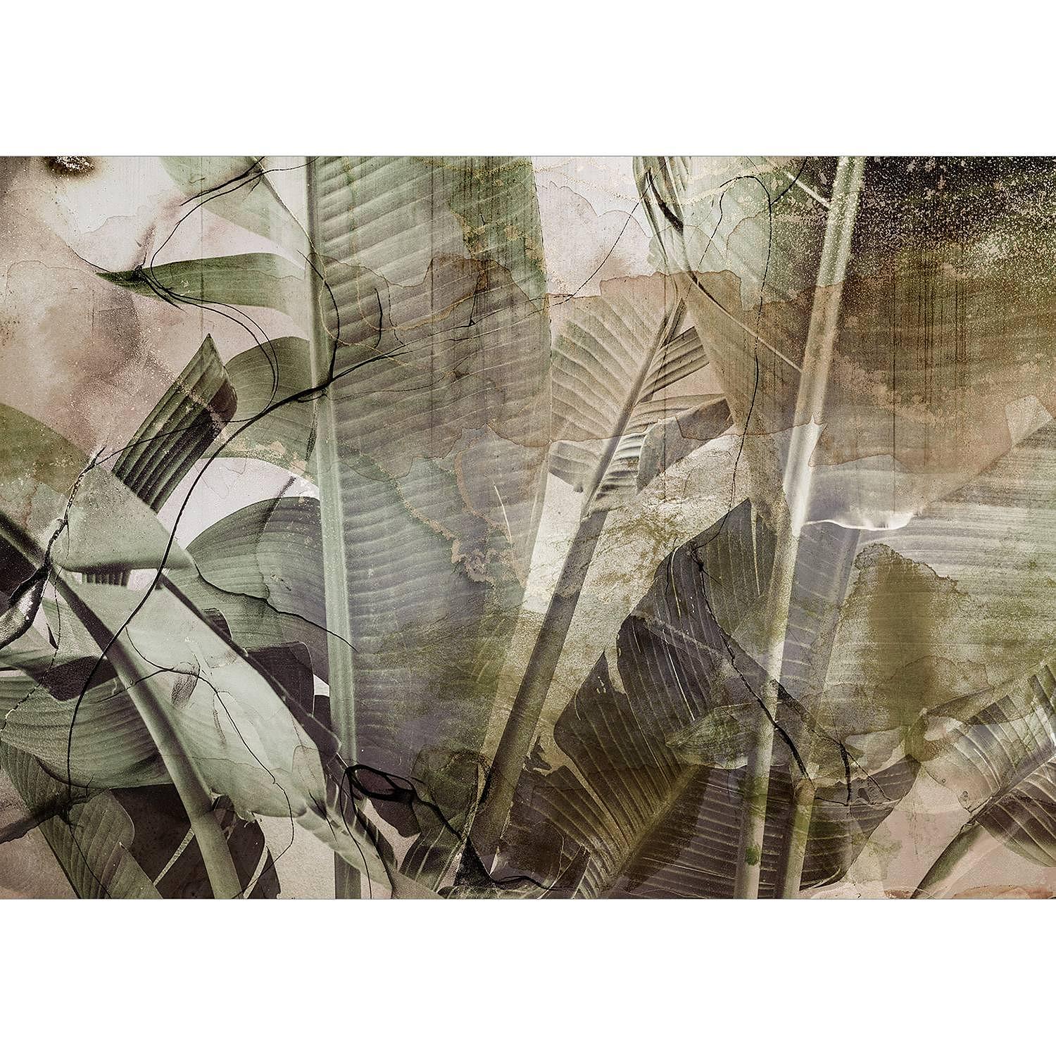 Vlies Fototapete Banana Jungle Vlies Grün 400 x 280 cm 1