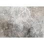 Fototapete Clear Branching Vlies Schwarz-Weiß 450 x 315 cm 1