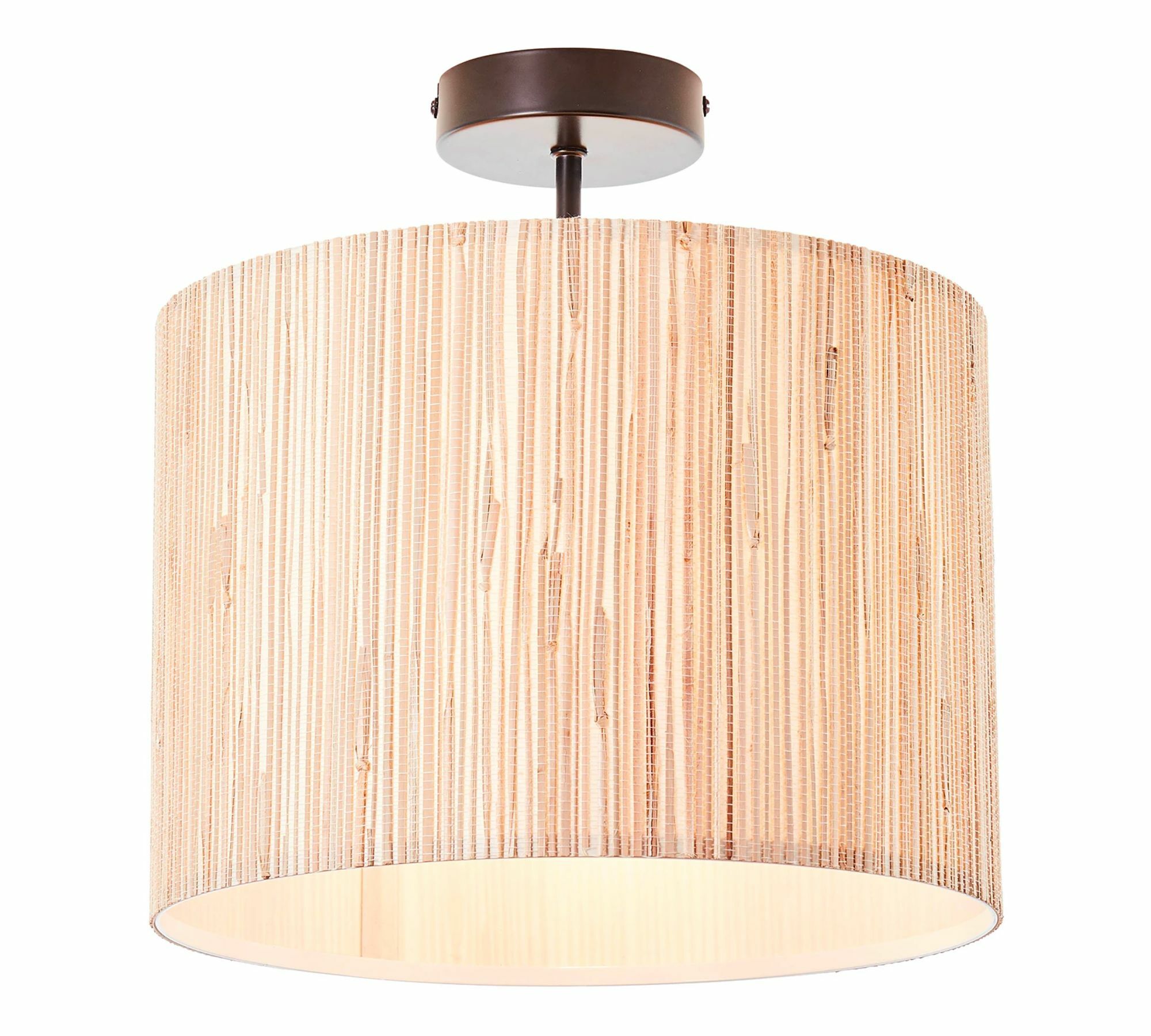 Ceiling light 1-lamp Plant leaf Steel 0