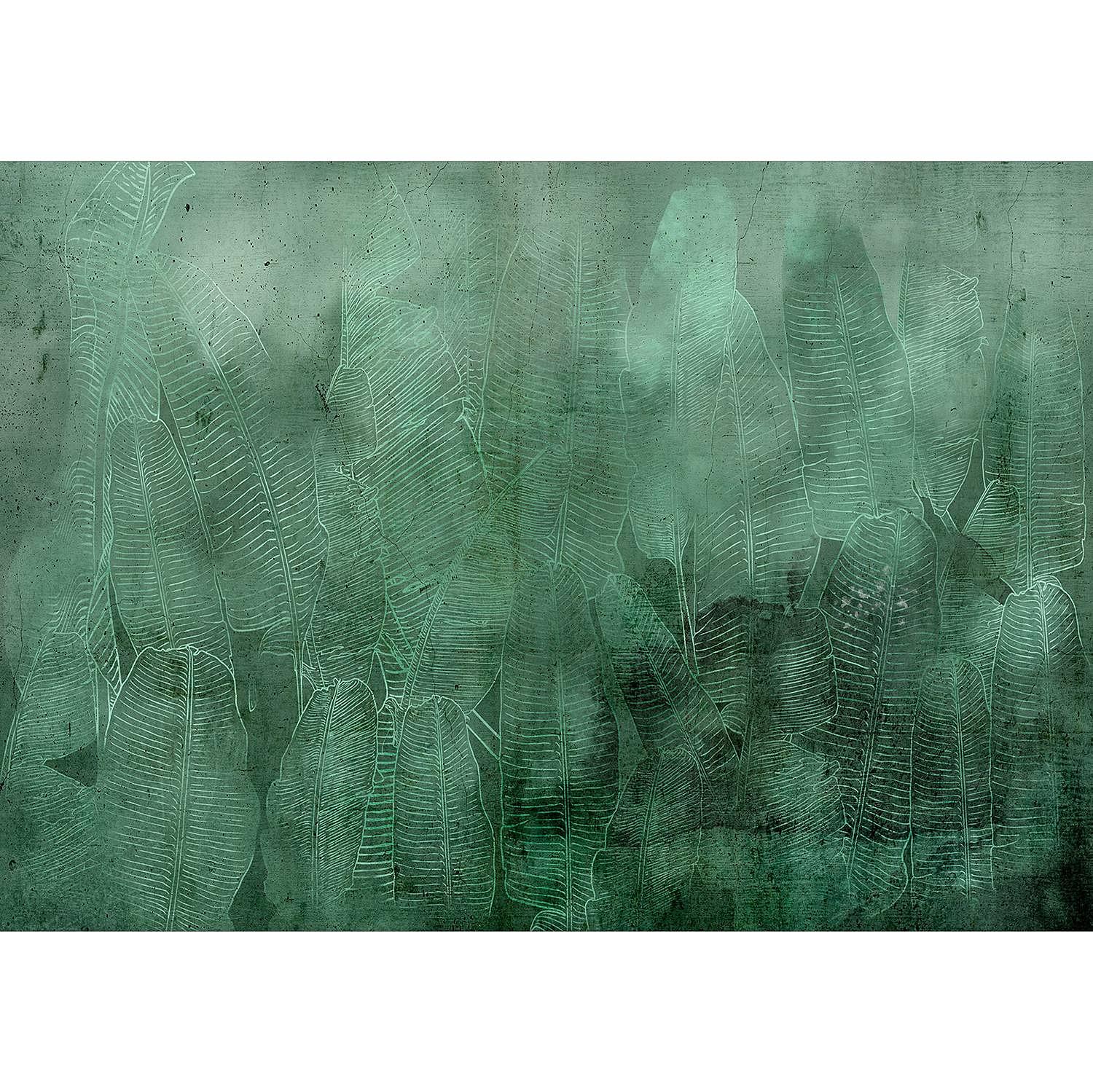 Non-woven wallpaper Banana Leaves Green 1