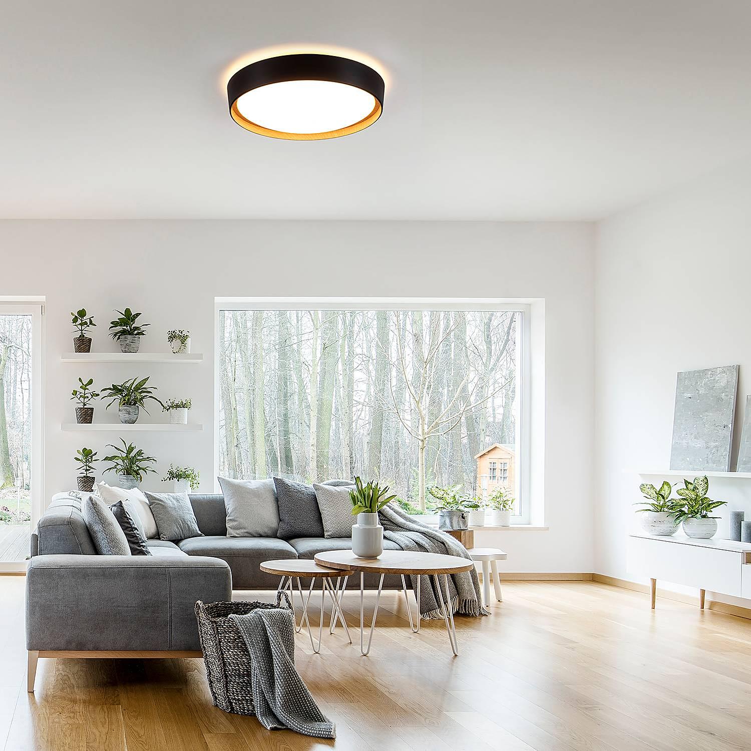 Emilia LED Ceiling Light Polycarbonate 1-flame 2