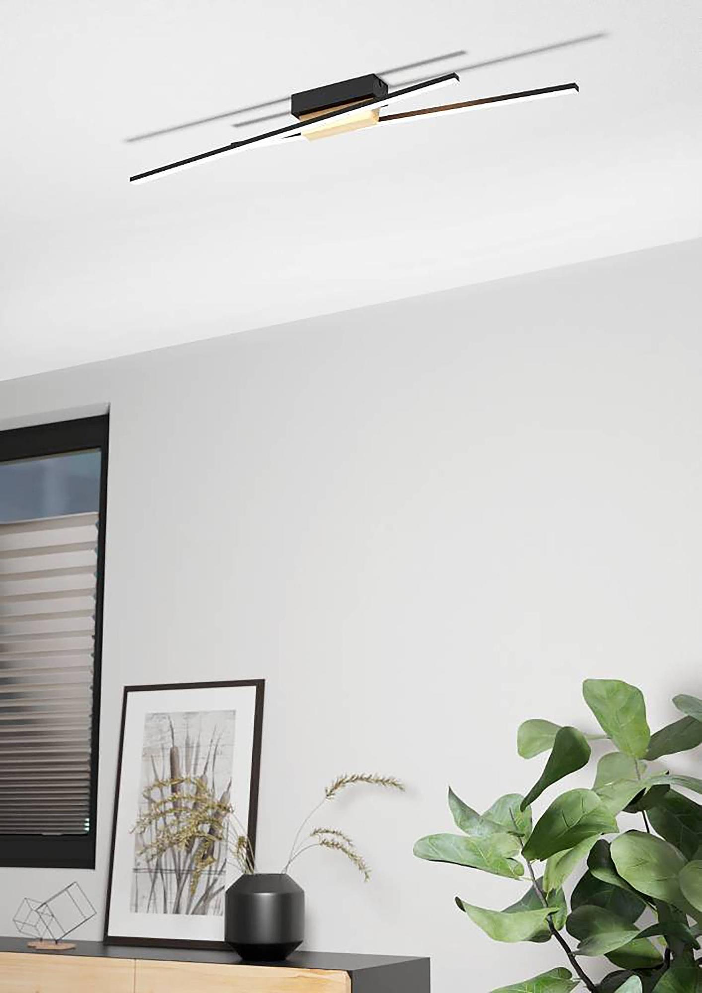Panagria Ceiling Light Steel Polycarbonate 2-light 2