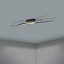 Panagria Ceiling Light Steel Polycarbonate 2-light 3