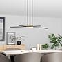 Panagria pendant lamp Steel Polycarbonate 2-light 2