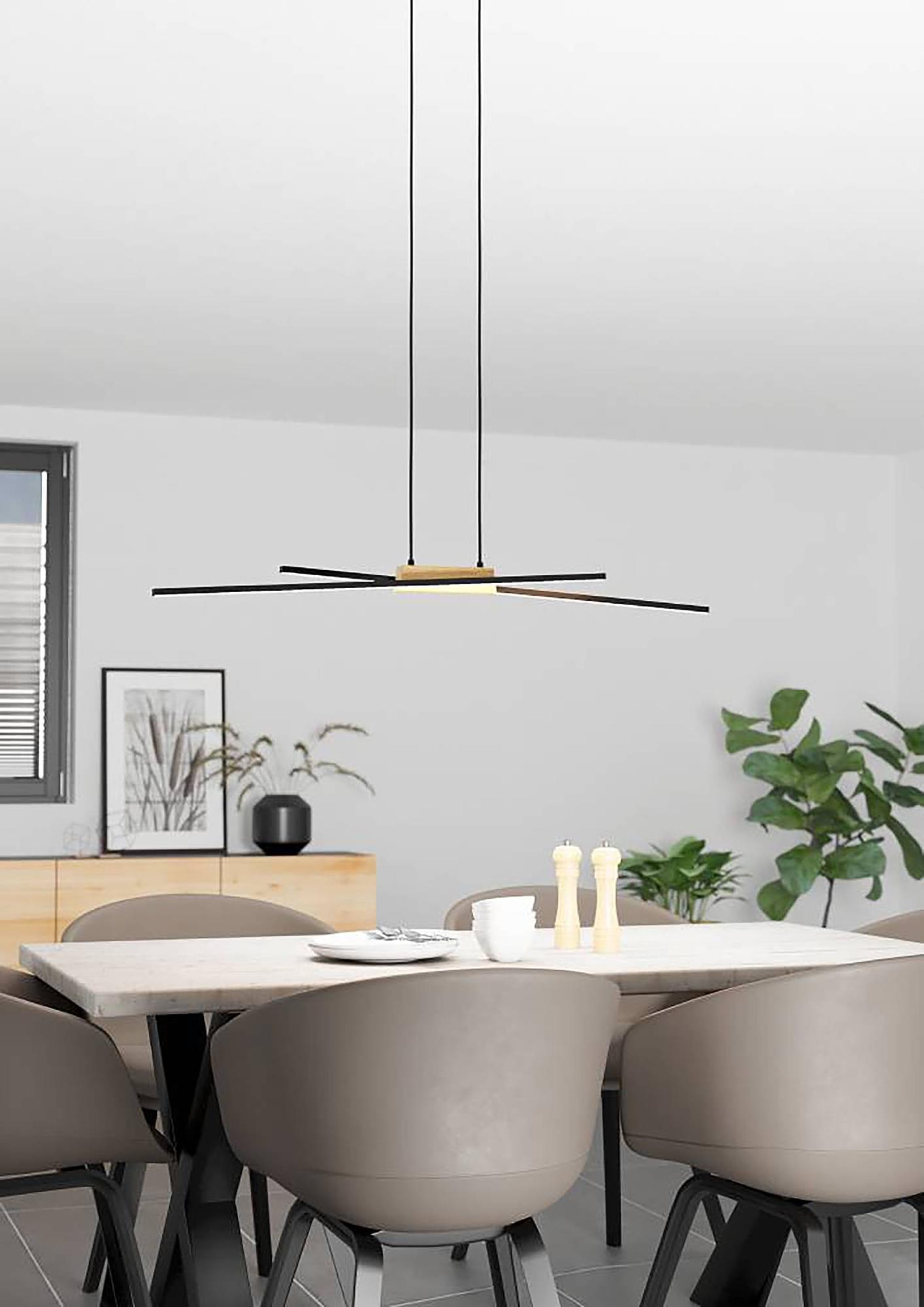 Panagria pendant lamp Steel Polycarbonate 2-light 2